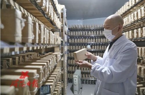 搶抓陜茶振興機(jī)遇 咸陽(yáng)茯茶“鏈”動(dòng)產(chǎn)業(yè)興